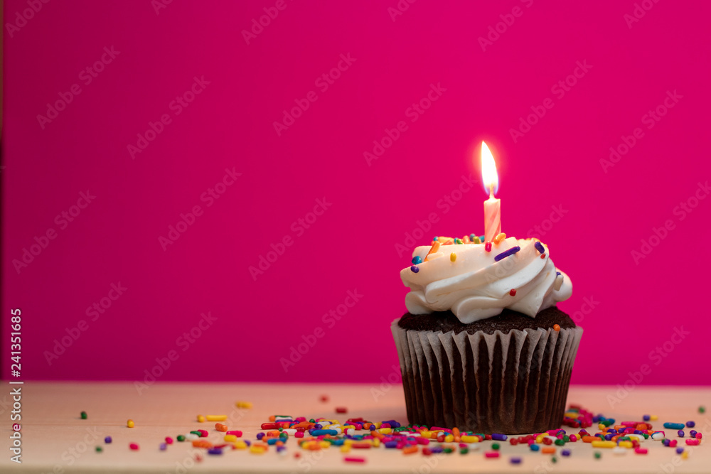 Chocolate Cupcake with candle and sprinkles on a pink background, with room for text Chocolate Cupcake with candle and sprinkles on a pink background, with room for text