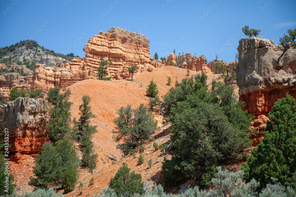 Red Rock Canyon with Trees, Southern Utah