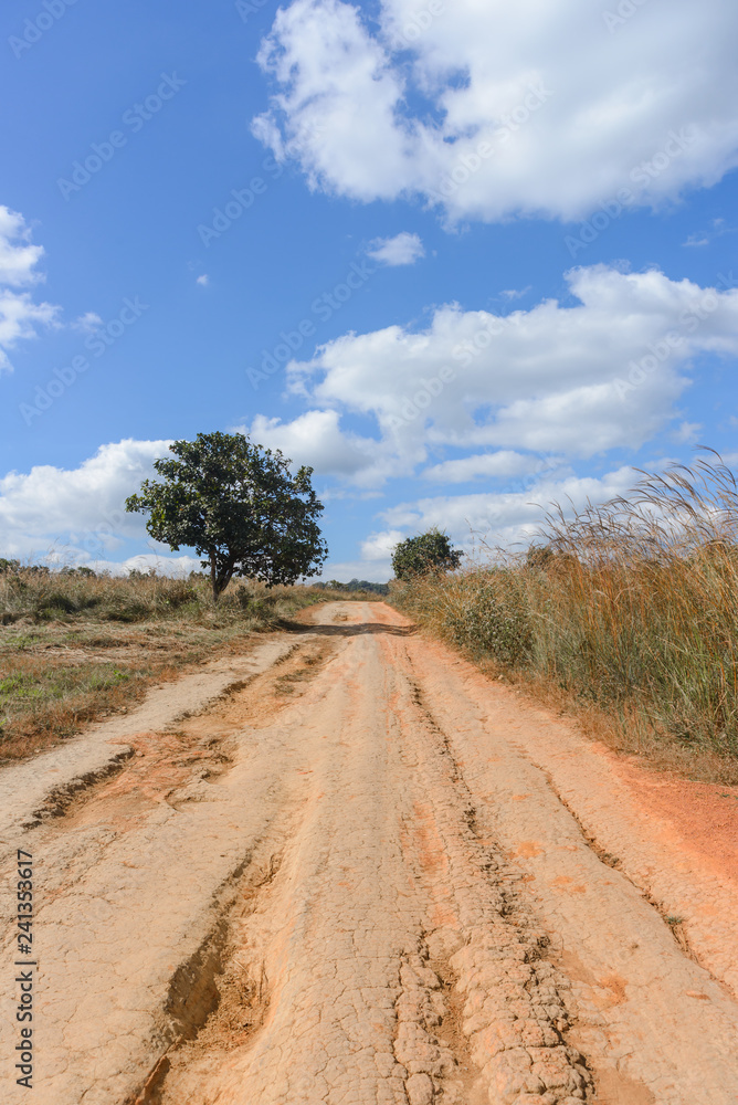 Naklejka premium Dirt road in Thung Salaeng Luang Nation Park, Thailand
