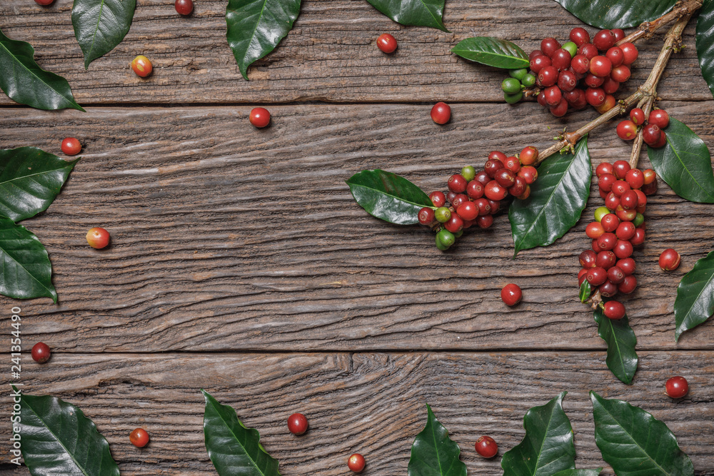 Close up fresh organic red coffee beans with coffee leaves on wooden background with copy space Close up fresh organic red coffee beans with coffee leaves on wooden background with copy space