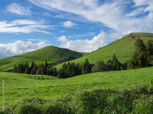 Lush green grass hills with fields and pastures, blue sky and white clouds, typical landscape of San Miguel island, Azores, Portugal