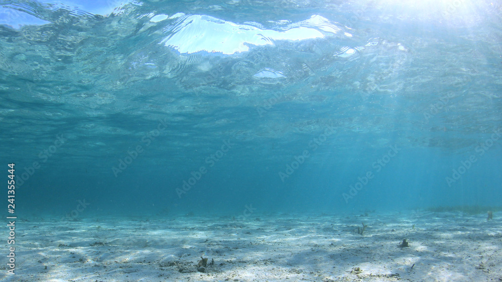 Fototapeta premium Underwater ocean background 