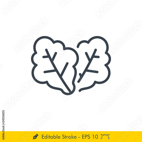 Lettuce Icon / Vector - In Line / Stroke Design