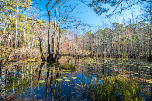 First Landing State Park