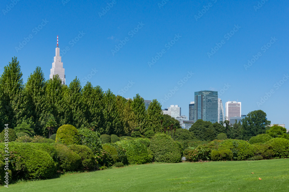 Fototapeta premium Krajobraz lato park z wysokich budynków biurowych w tle