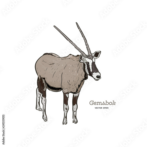 Standing Gemsbok with two horns, hand draw vector. © Yada