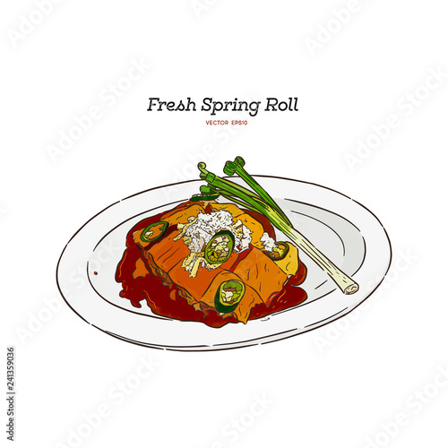 fresh spring rolls, hand draw sketch vector.