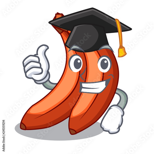 Graduation abunch in red bananas fruit character photo