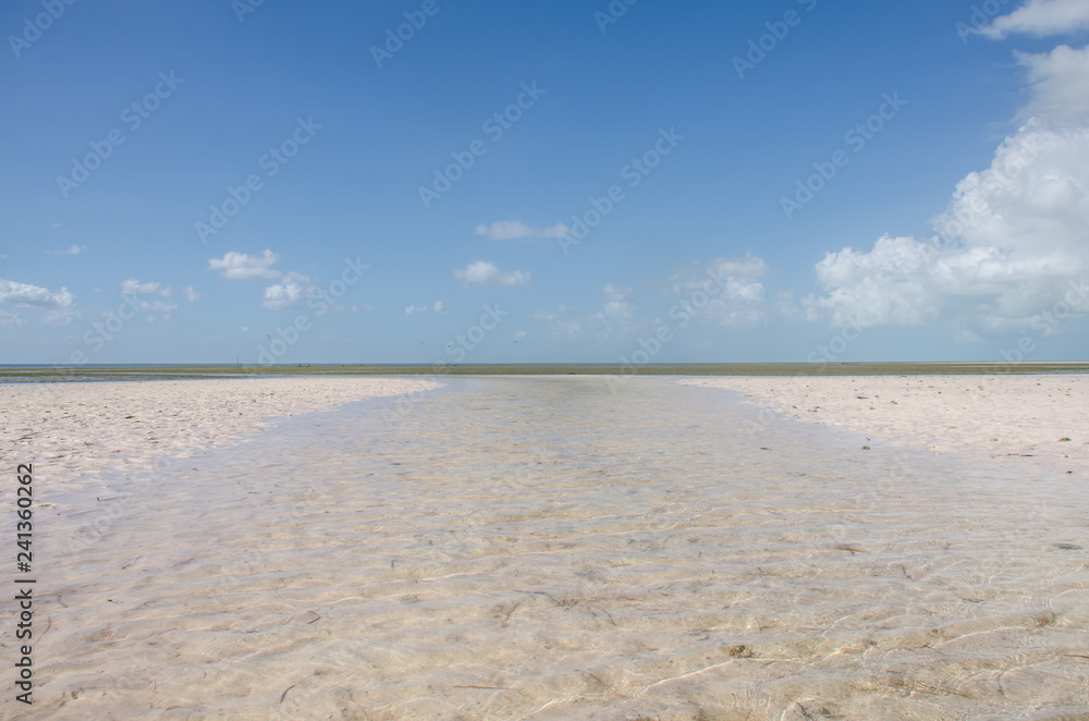 Stuary at Isla Blanca, Mexico