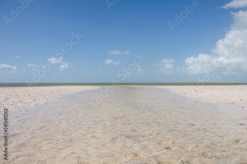 Stuary at Isla Blanca  Mexico