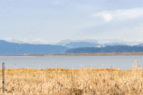 View on UBC Endowment Lands from Richmond, BC
