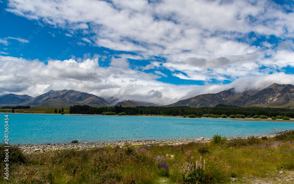 Lake Tekapo Landscape New Zealand