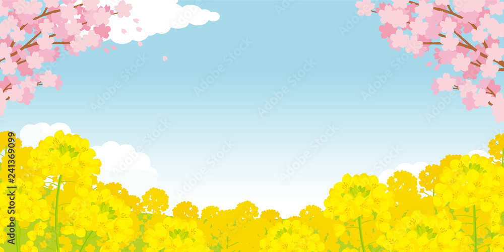 桜と菜の花 背景イラスト Stock Vector Adobe Stock