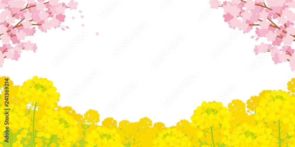 Fototapeta premium 桜と菜の花 背景イラスト
