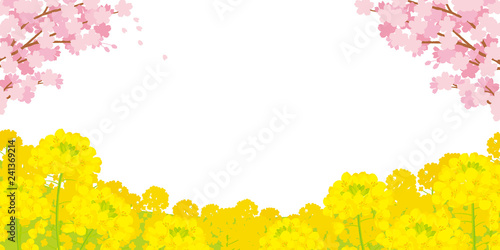 桜と菜の花　背景イラスト