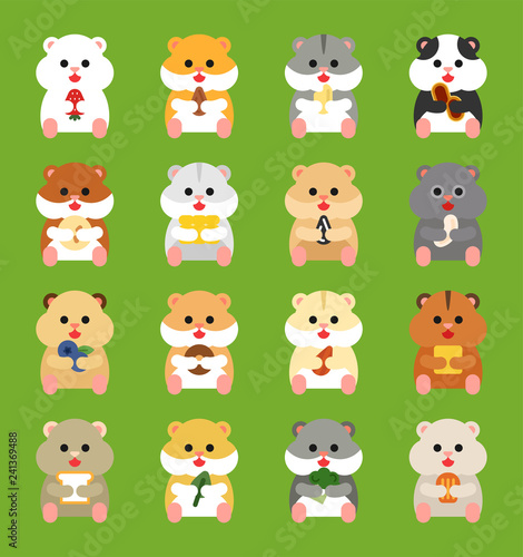 cute hamster set illustration. flat design vector graphic style.