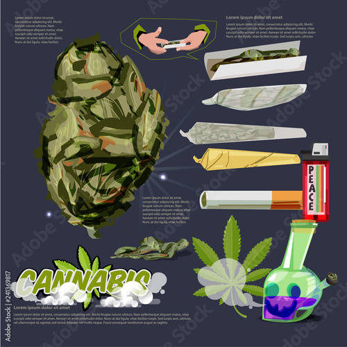 Cannabis or Marijuana Buds raw joint. bong infographic with logotype - vector