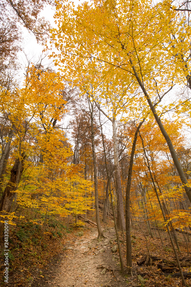 Bright fall foliage in Cuyahoga Valley National Park in Ohio.