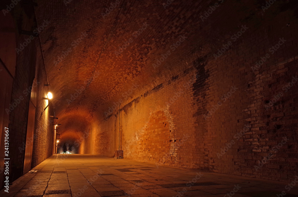 無人島・猿島の愛のトンネル StockFoto Adobe Stock