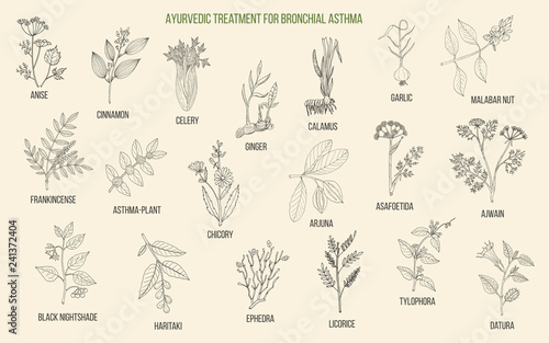 Ayurvedic herbs for asthma treatment
