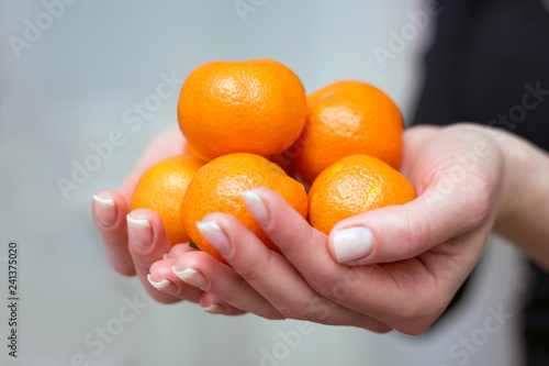 A woman holds in her hand the orange fruits of mandarin_