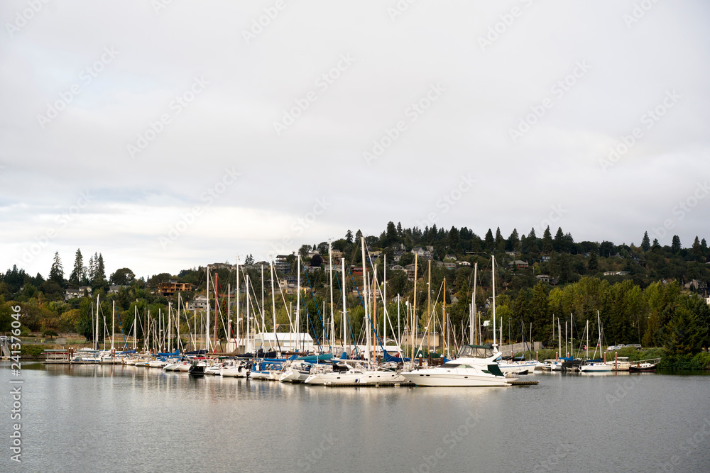 Yachts and boats at the pier near wooded hill