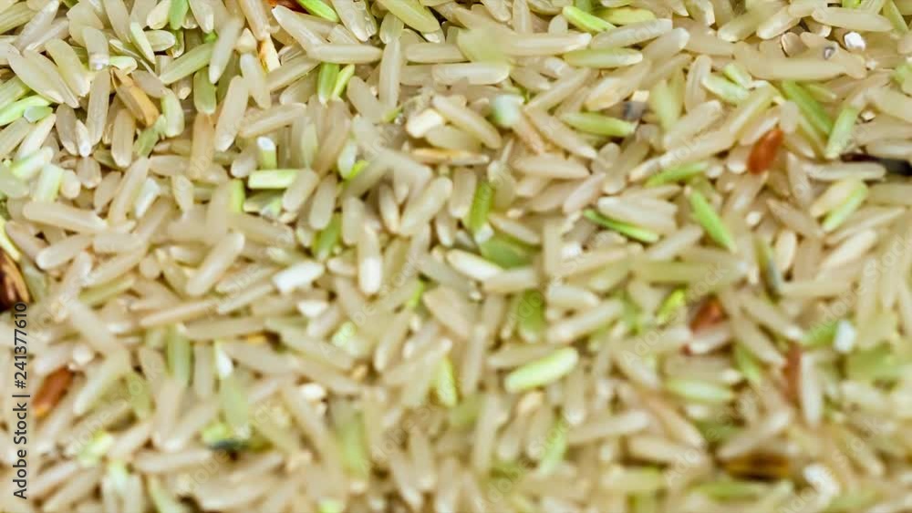 Close up of brown rice obtained from the milling of jasmine rice paddy Close up of brown rice obtained from the milling of jasmine rice paddy