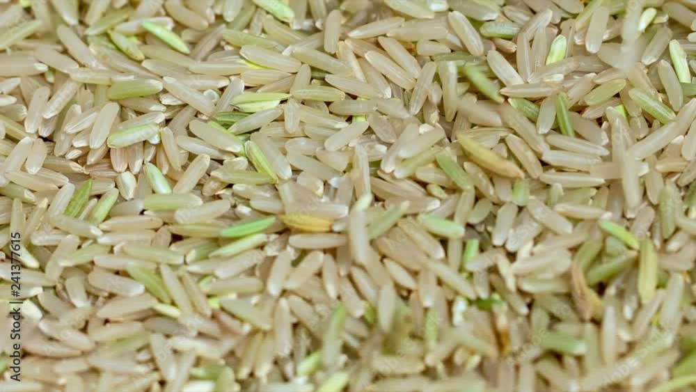 Close up of brown rice obtained from the milling of jasmine rice paddy Close up of brown rice obtained from the milling of jasmine rice paddy