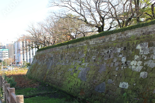 Kagoshima Castle, the residence of the Shimazu family photo