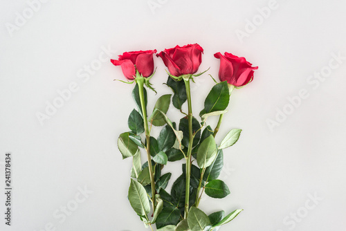 close-up view of beautiful tender red rose flowers isolated on grey