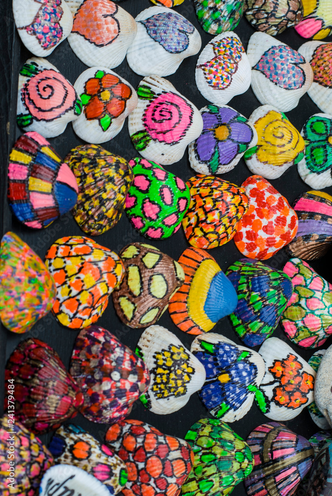 hand-painted seashells with beautiful and colorful design
