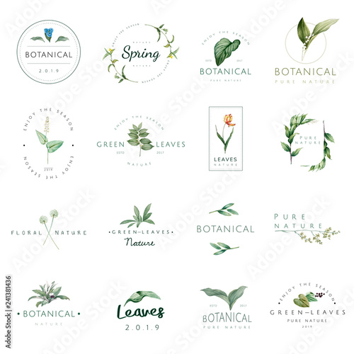 Set of nature and plant logo vectors