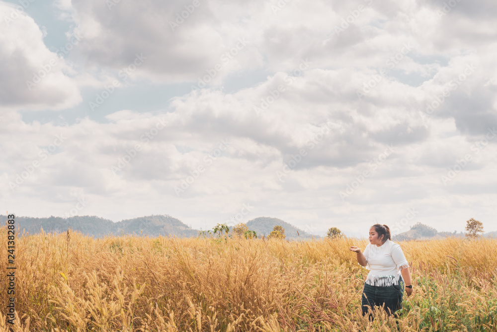 The girl is traveling in the grass field desho grass The girl is traveling in the grass field desho grass