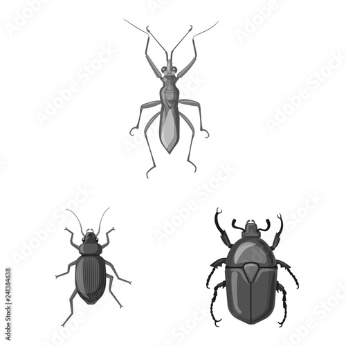 Vector illustration of insect and fly symbol. Set of insect and element vector icon for stock. © Svitlana
