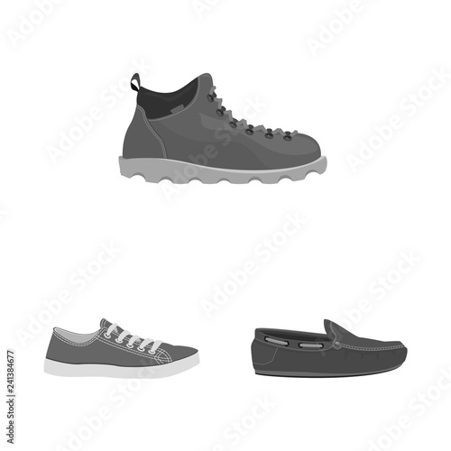 Vector illustration of shoe and footwear logo. Set of shoe and foot vector icon for stock.