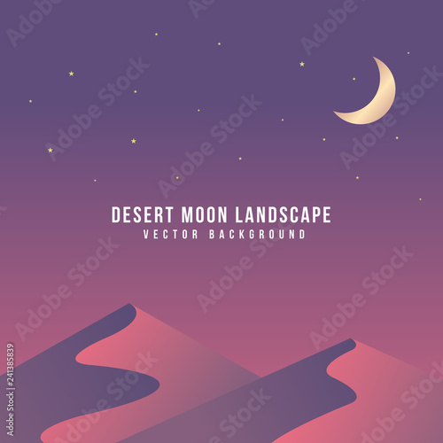 desert moon background vector image.