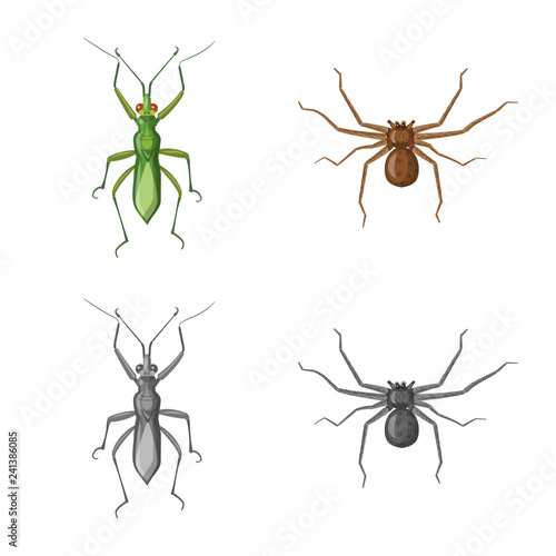 Isolated object of insect and fly logo. Collection of insect and element stock vector illustration.
