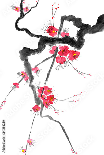 A branch of a blossoming tree. Pink and red stylized flowers of plum mei  wild apricots and sakura . Watercolor and ink illustration in style sumi-e  u-sin. Oriental traditional painting.