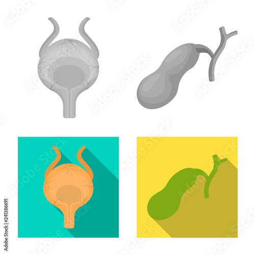 Vector design of body and human icon. Set of body and medical vector icon for stock.