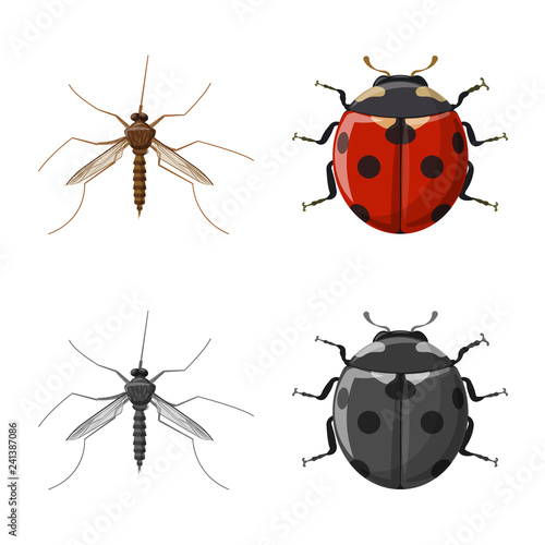 Vector design of insect and fly sign. Collection of insect and element stock vector illustration. © Svitlana