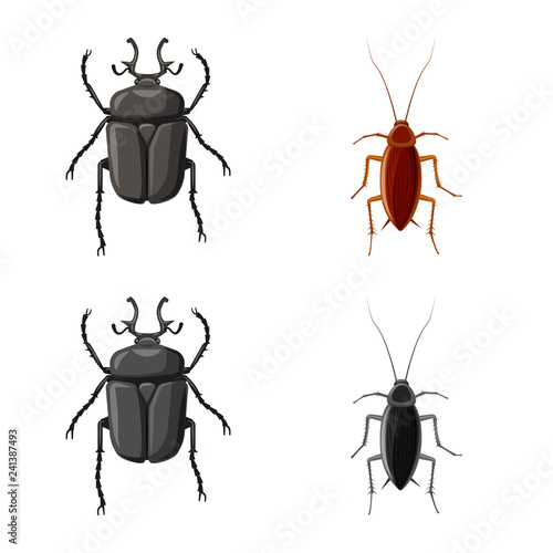 Vector design of insect and fly symbol. Collection of insect and element stock vector illustration. © Svitlana
