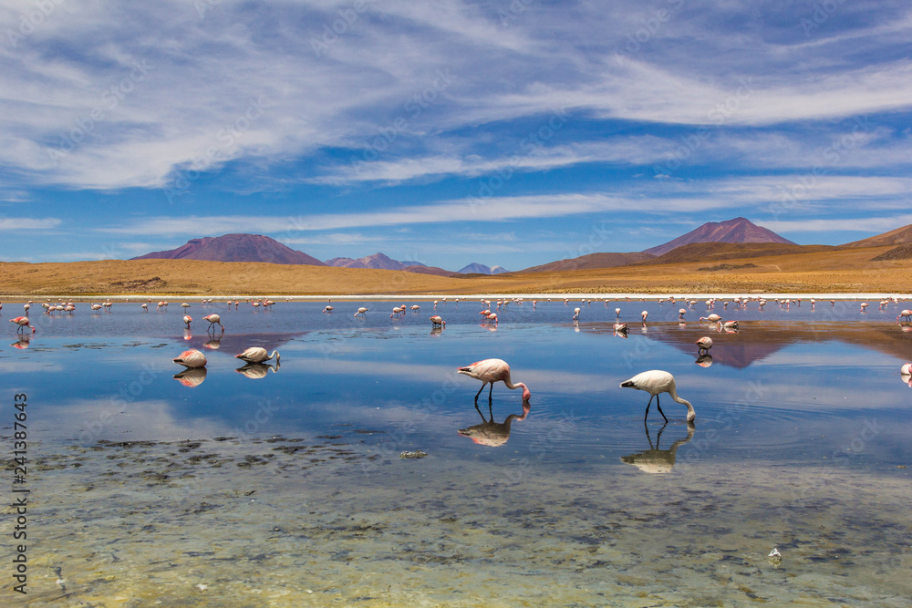 Fototapeta premium Laguna Canapa, Bolivia