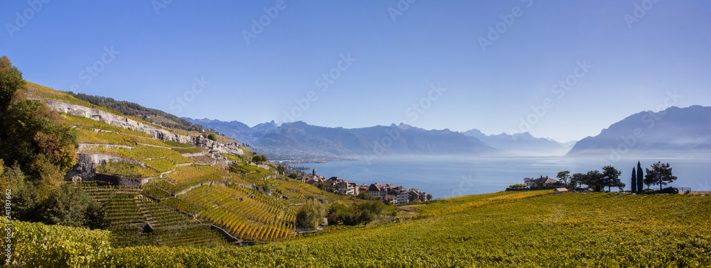 Panorama view of the Unesco heritage of Laxaux vineyard region along the Geneva Lake in Canton Vaud, Switzerland