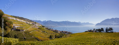 Panorama view of the Unesco heritage of Laxaux vineyard region along the Geneva Lake in Canton Vaud, Switzerland