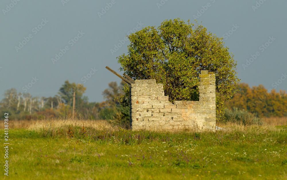 Alte Mauer im verfallen