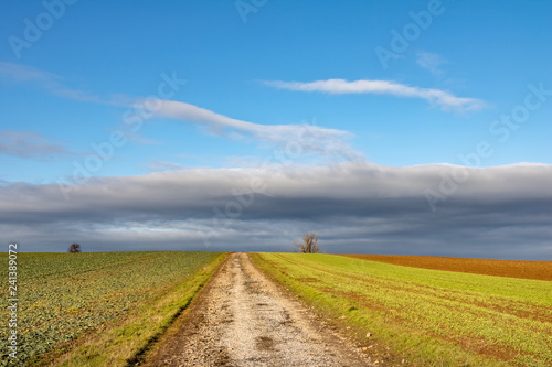 Dirt road between autumn or spring fields under blue sky