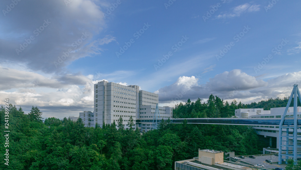 Footbridge and building over trees on Marquam Hill in Porttland, USA