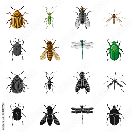 Vector illustration of insect and fly logo. Collection of insect and element stock symbol for web. © Svitlana