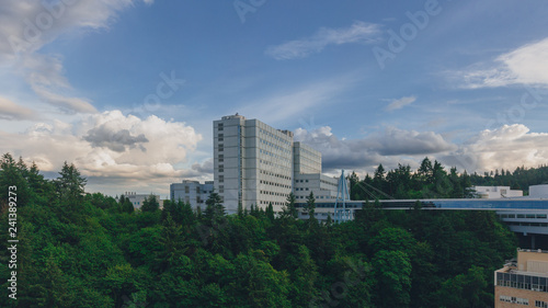 Footbridge and building over trees on Marquam Hill in Porttland, USA