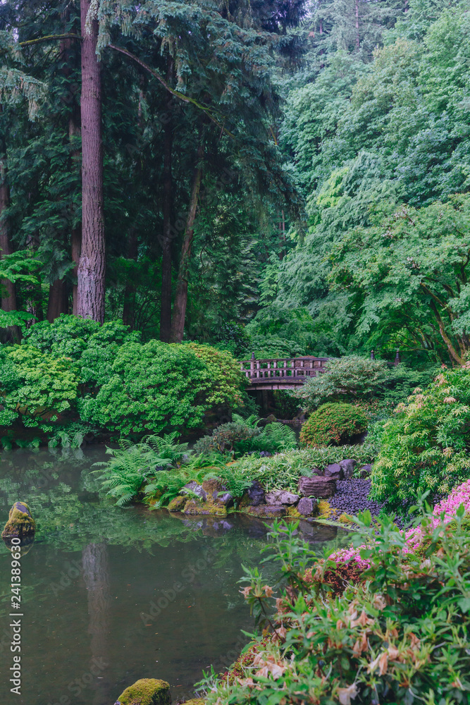 Wooden bridge and pond among trees at Portland Japanese Garden, Portland, USA